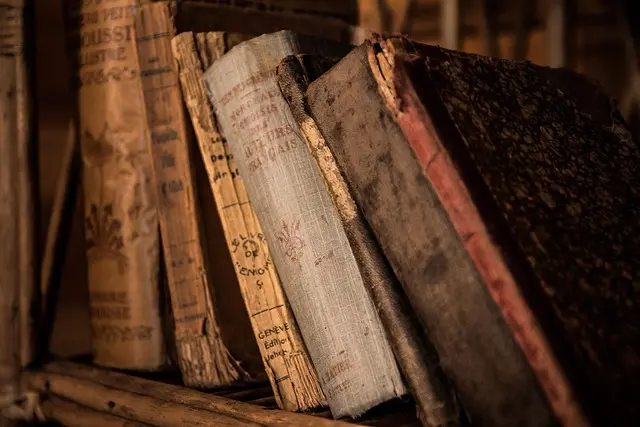 Livres Cultes en Ventes Privées : Guide d'Achat Complet