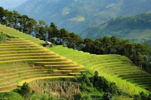 Eco-Friendly Travel Practices for Budget Optimization
