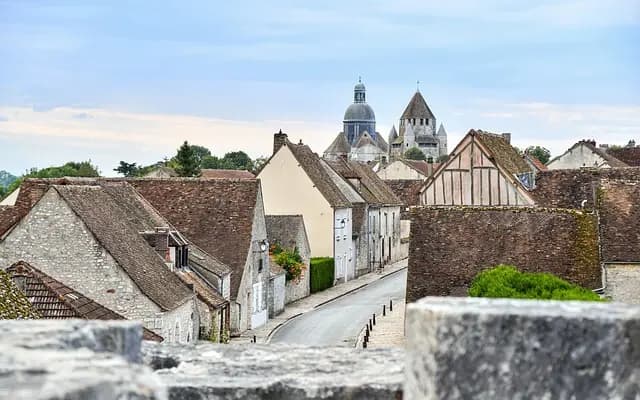 Guide complet pour l'entretien des pelouses
