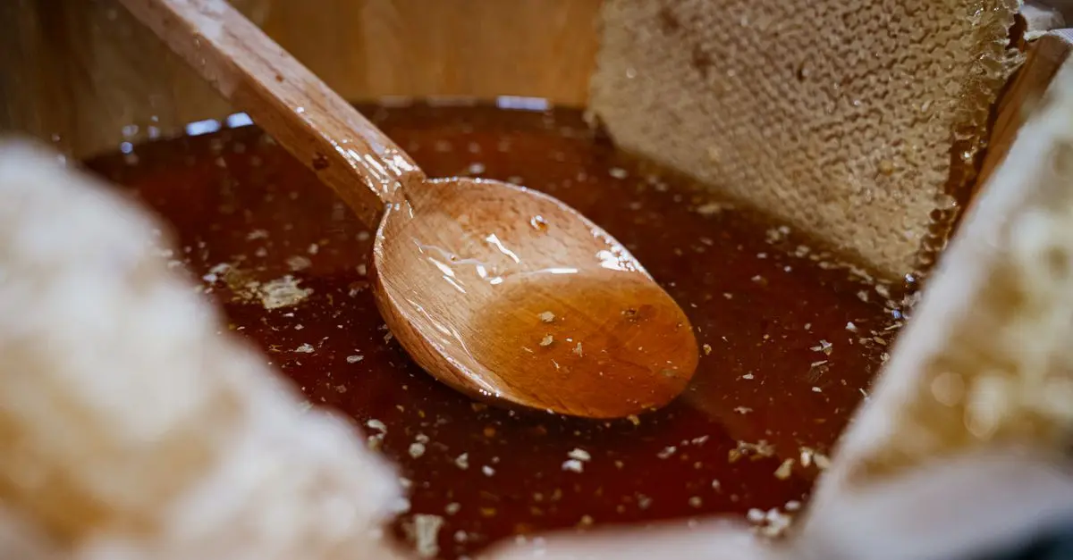Choisir sa serre pour production maraîchère