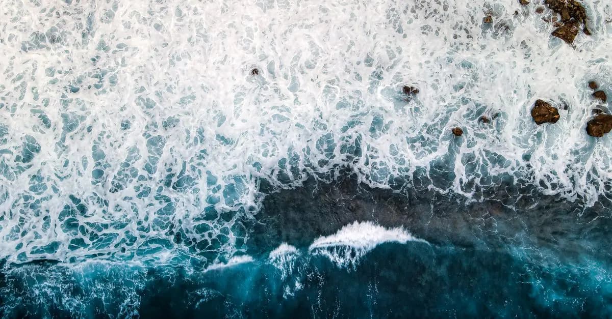 Guide d'achat : Évitez les erreurs sur la petite maroquinerie de luxe