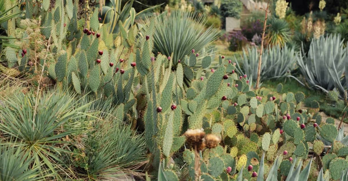 Arroser efficacement le jardin : Guide d'achat