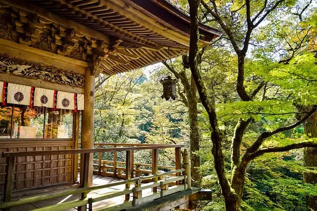 Destinations hors-piste à explorer en solo
