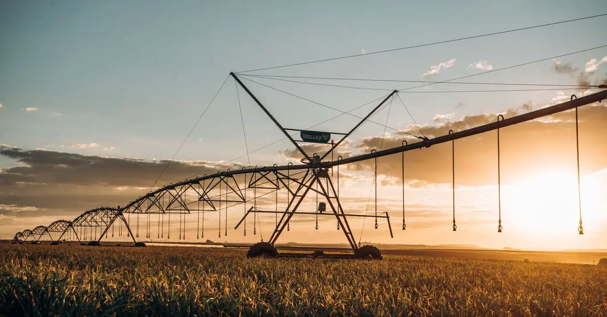 Systèmes d'Irrigation Innovants : Guide d'Achat Complet