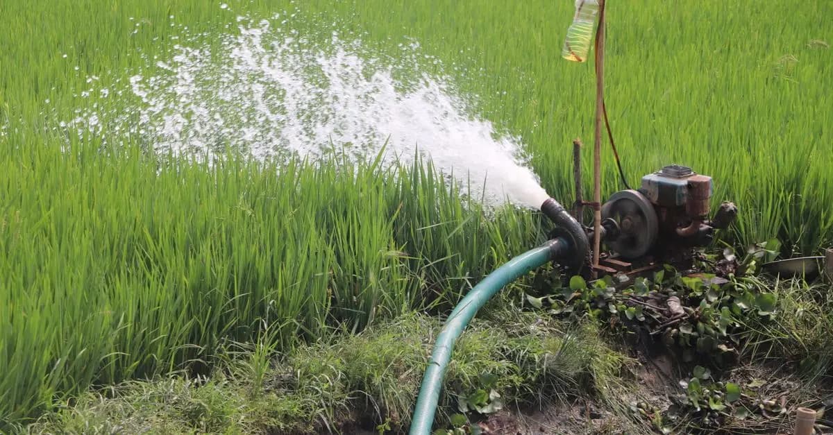 Techniques avancées d'irrigation agricole